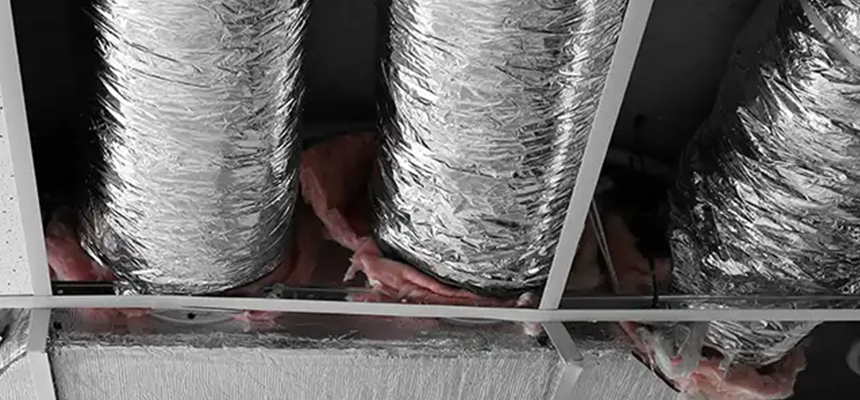 Scalable Commercial Multi‑Unit Dryer Vent Camera Inspection in Carrollwood, FL