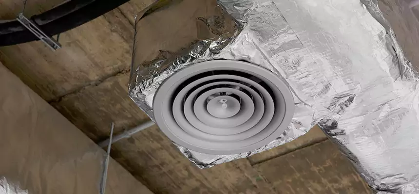 Our Excess Lint Removal from Dryer Ducts Services in Carrollwood, FL