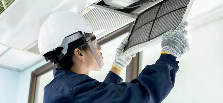 Our Mold & Mildew Removal from Air Ducts Services in Carrollwood, FL