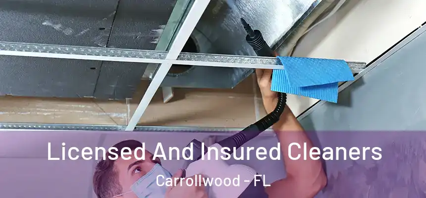 Licensed And Insured Cleaners Carrollwood - FL