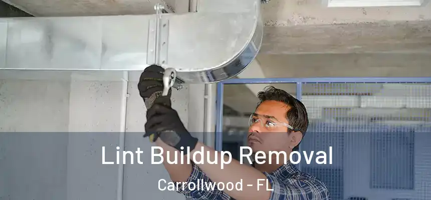 Lint Buildup Removal Carrollwood - FL