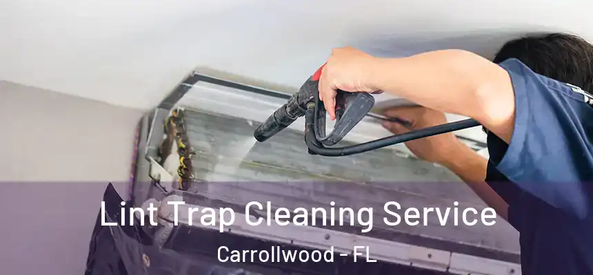 Lint Trap Cleaning Service Carrollwood - FL