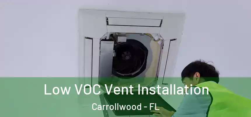 Low VOC Vent Installation Carrollwood - FL
