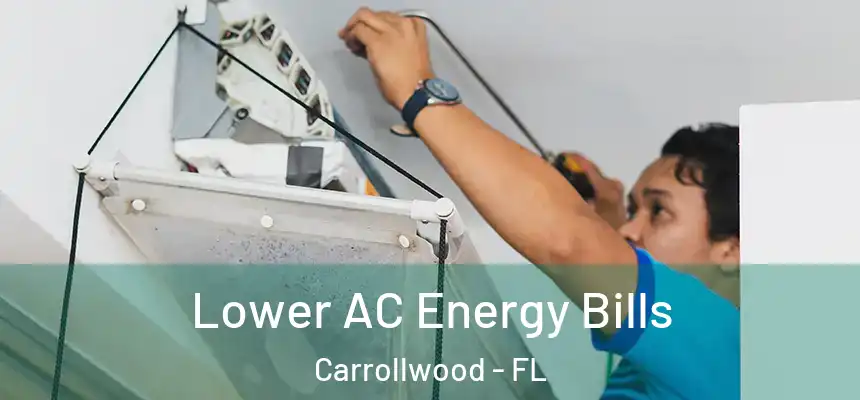 Lower AC Energy Bills Carrollwood - FL