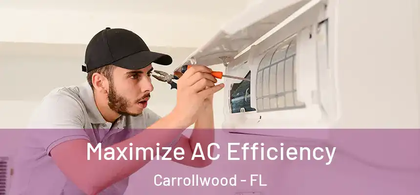 Maximize AC Efficiency Carrollwood - FL
