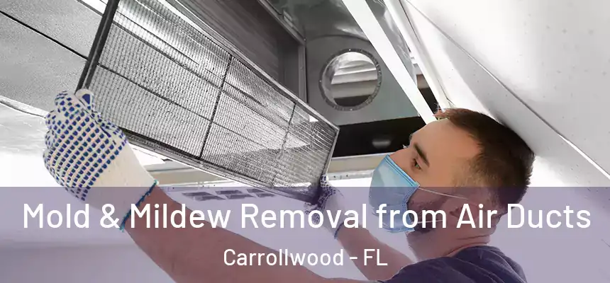  Mold & Mildew Removal from Air Ducts Carrollwood - FL