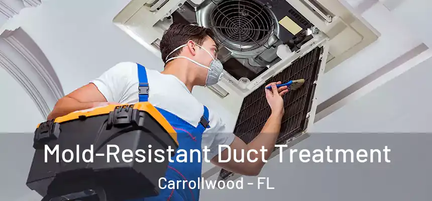 Mold-Resistant Duct Treatment Carrollwood - FL