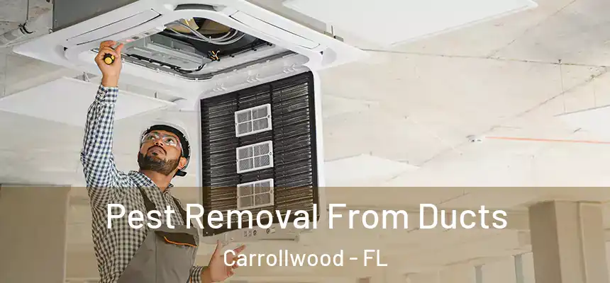  Pest Removal From Ducts Carrollwood - FL