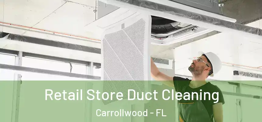  Retail Store Duct Cleaning Carrollwood - FL
