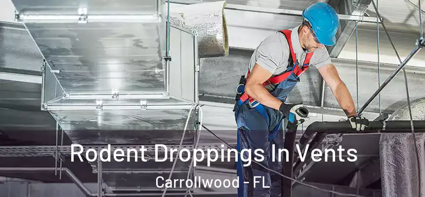  Rodent Droppings In Vents Carrollwood - FL