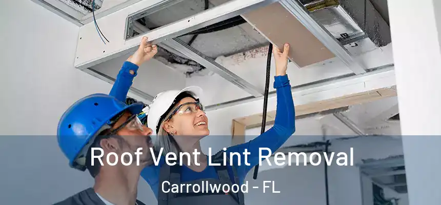  Roof Vent Lint Removal Carrollwood - FL
