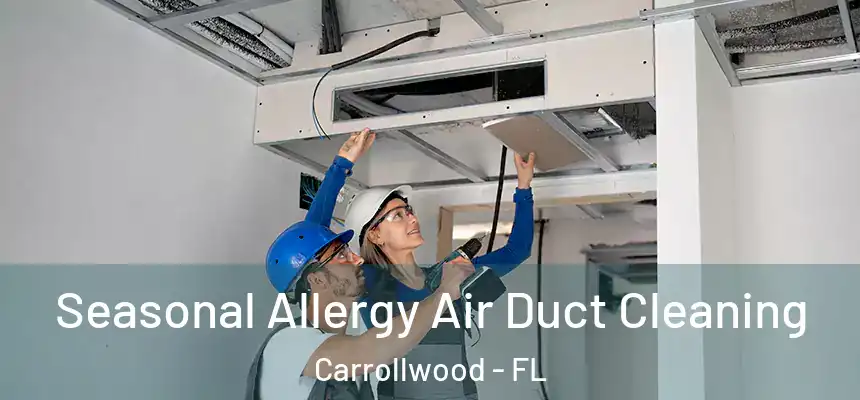 Seasonal Allergy Air Duct Cleaning Carrollwood - FL