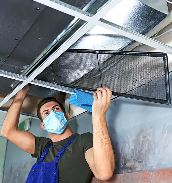About Air Duct Bacteria Removal in Carrollwood