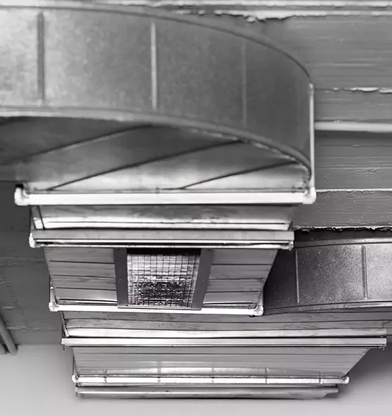 Professional Air Duct Pet Hair Removal in Carrollwood, FL