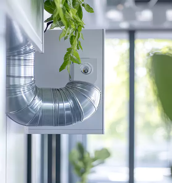 Professional Eco-Safe Dryer Vent Cleaning in Carrollwood, FL