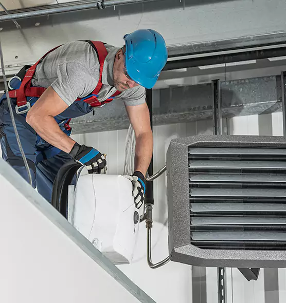 About HVAC Mold Remediation Service in Carrollwood, FL