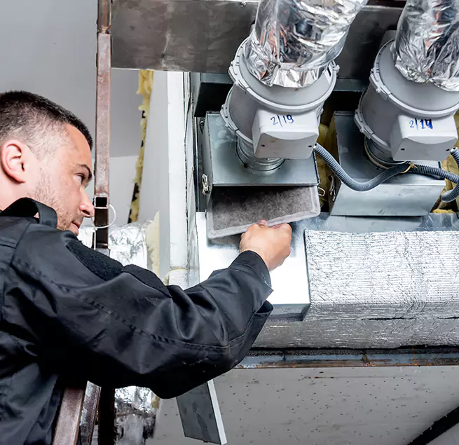 Why Homeowners & Businesses Trust Us in Carrollwood, FL?