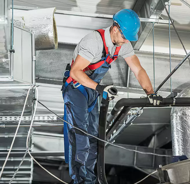 Why Homeowners & Businesses Trust Us in Carrollwood, FL?