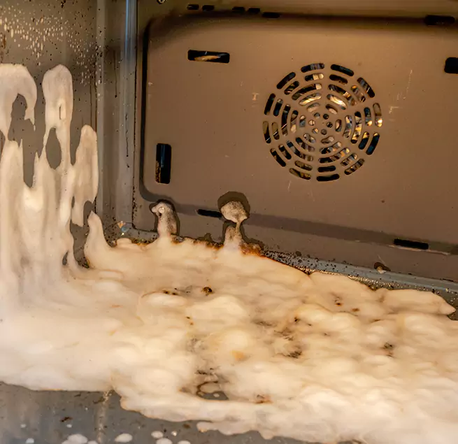 Why Homeowners Businesses Trust Us in Carrollwood, FL?