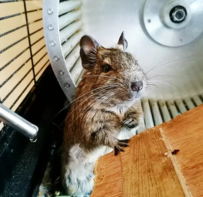 Why Homeowners & Businesses Trust Us Carrollwood, FL?