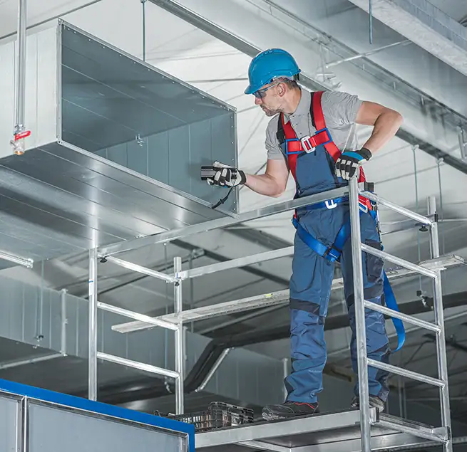 Why Homeowners & Businesses Trust Us in Carrollwood, FL?