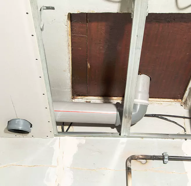 Why Homeowners & Businesses Trust Us in Carrollwood, FL?