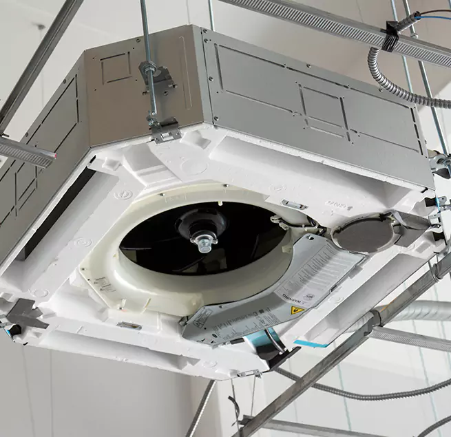 Why Homeowners & Businesses Trust Us in Carrollwood, FL?