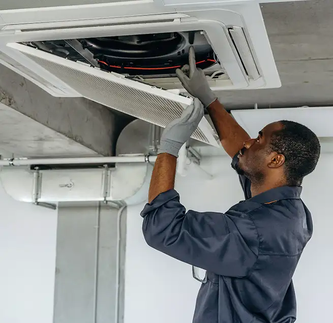 Why Homeowners & Businesses Trust Us in Carrollwood, FL?