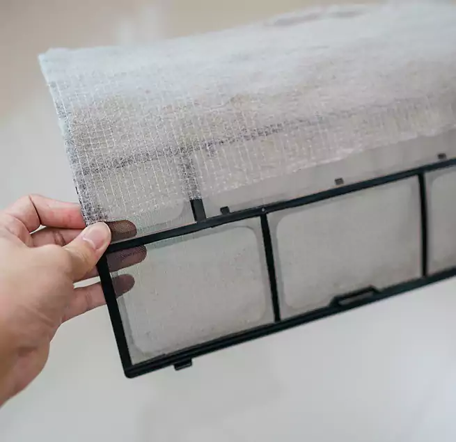 Why Homeowners & Businesses Trust Us in Carrollwood, FL?