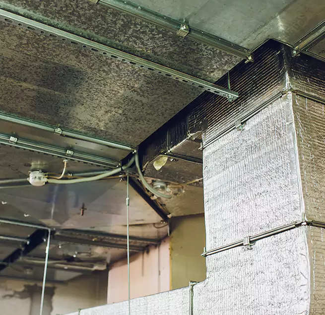 Why Homeowners & Businesses Trust Us in Carrollwood, FL?