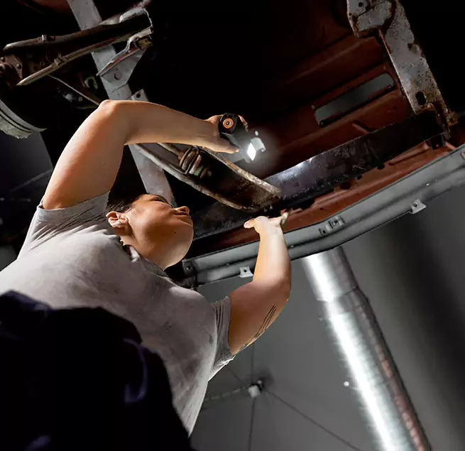 Why Homeowners & Businesses Trust Us Carrollwood, FL