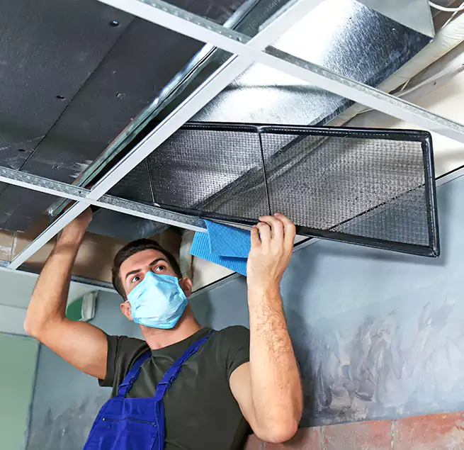 Why Homeowners Businesses Trust Us in Carrollwood, FL