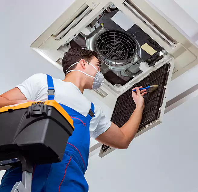 Why Homeowners & Businesses Trust Us in Carrollwood, FL?