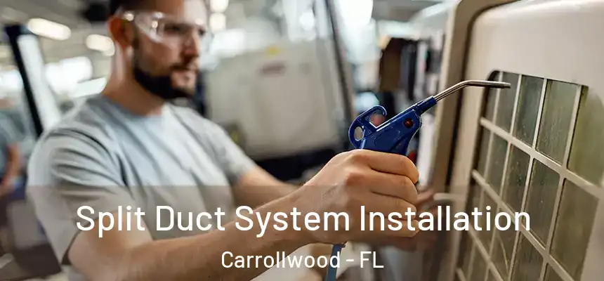 Split Duct System Installation Carrollwood - FL