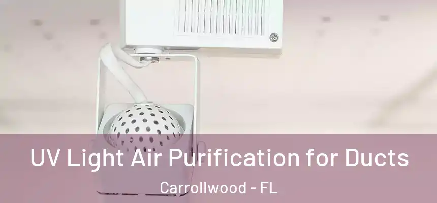 UV Light Air Purification for Ducts Carrollwood - FL