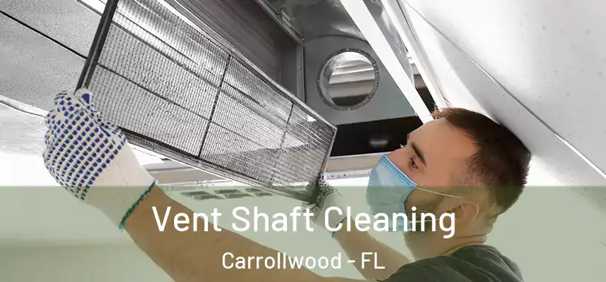 Vent Shaft Cleaning Carrollwood - FL