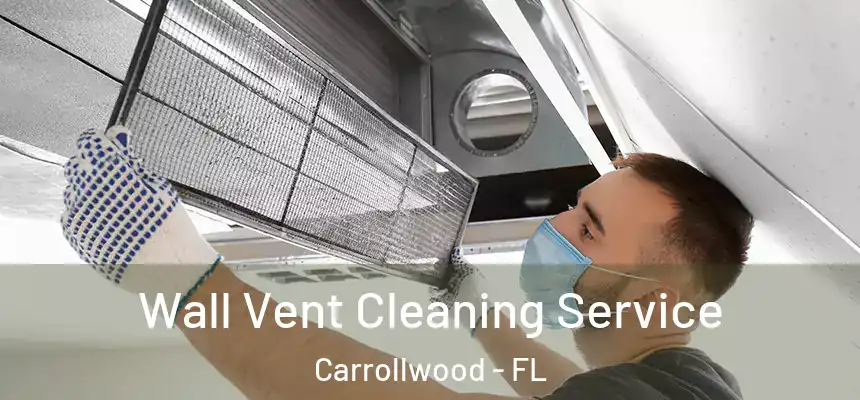  Wall Vent Cleaning Service Carrollwood - FL