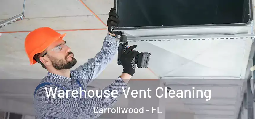 Warehouse Vent Cleaning Carrollwood - FL