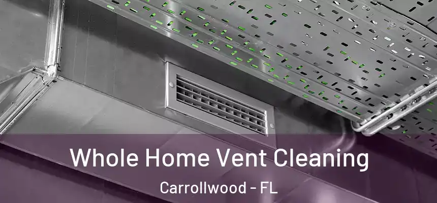 Whole Home Vent Cleaning Carrollwood - FL