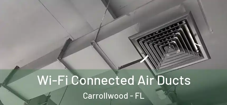  Wi-Fi Connected Air Ducts Carrollwood - FL